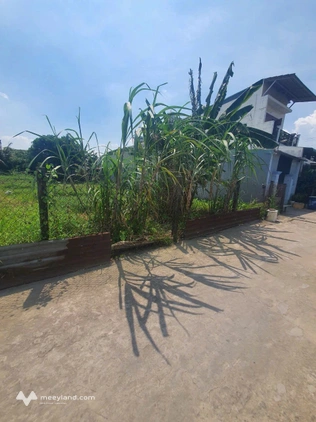 Bất động sản tại Bình Dương - ảnh 1