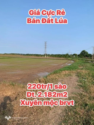 Bất động sản tại Bà Rịa - Vũng Tàu - ảnh 1