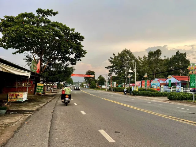 Bất động sản tại Bình Dương - ảnh 1