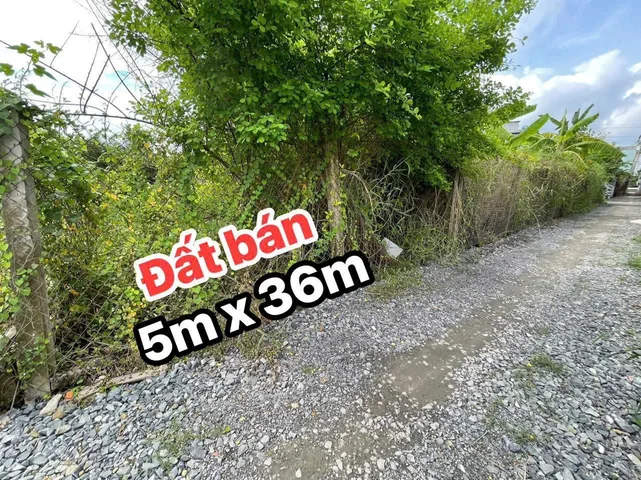 Bất động sản tại Tây Ninh - ảnh 1
