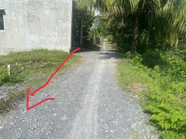 Bất động sản tại Tây Ninh - ảnh 1