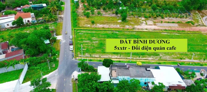 Bất động sản tại Bình Dương - ảnh 1