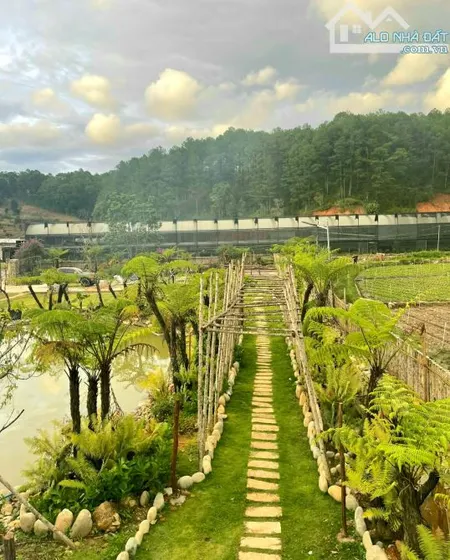 Bất động sản tại Lâm Đồng - ảnh 1