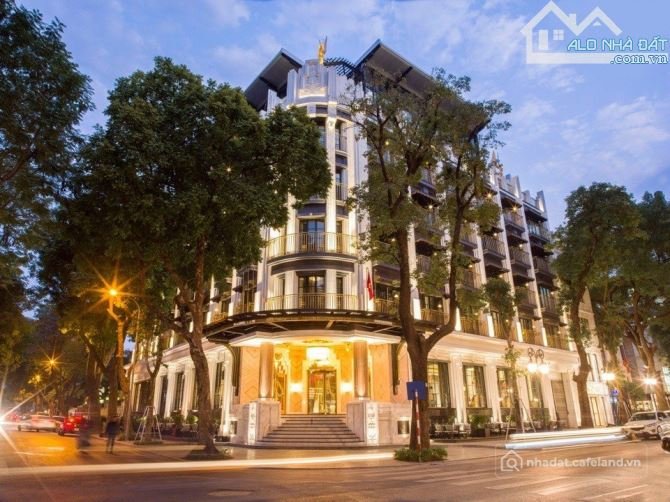 Bất động sản tại Đà Nẵng - ảnh 1