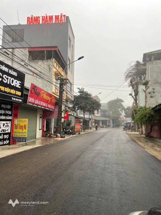 Bất động sản tại Vĩnh Phúc - ảnh 1