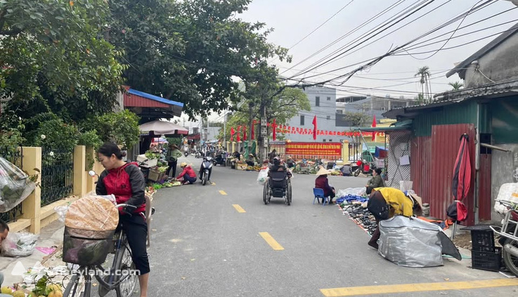 Bất động sản tại Hải Phòng - ảnh 1