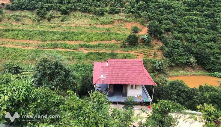 Bất động sản tại Lâm Đồng - ảnh 1