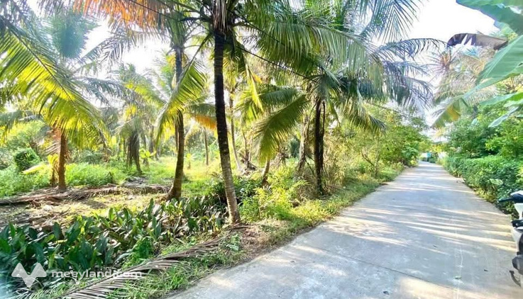 Bất động sản tại Bến Tre - ảnh 1