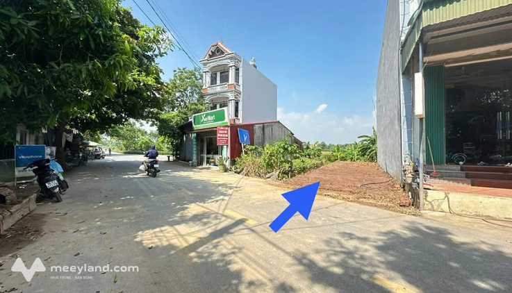 Bất động sản tại Phú Thọ - ảnh 1