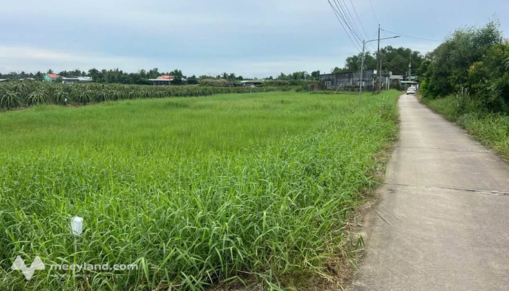 Bất động sản tại Long An - ảnh 1