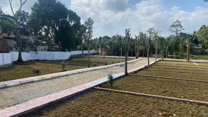 Bất động sản tại Phú Thọ - ảnh 1