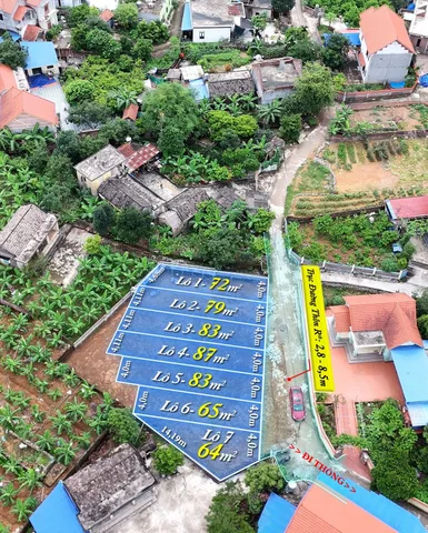 Bất động sản tại Hải Phòng - ảnh 1