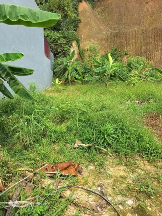 Bất động sản tại Yên Bái - ảnh 1