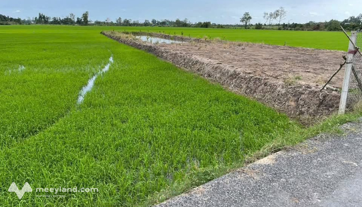 Bất động sản tại Đồng Tháp - ảnh 1