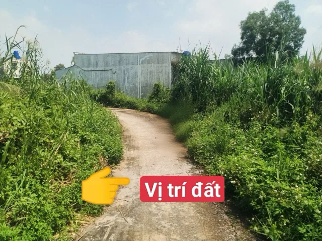 Bất động sản tại Tây Ninh - ảnh 1