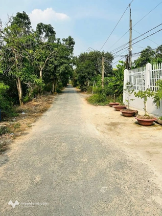 Bất động sản tại Đồng Tháp - ảnh 1