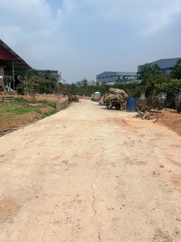 Bất động sản tại Phú Thọ - ảnh 1