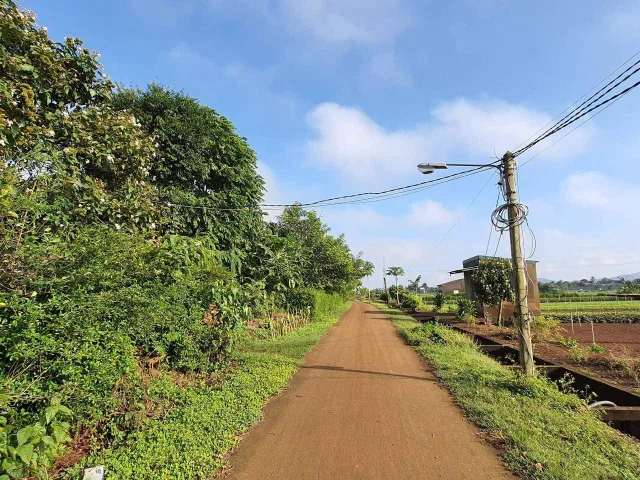 Bất động sản tại Đắk Lắk - ảnh 1
