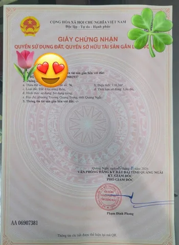 Bất động sản tại Quảng Ngãi - ảnh 1
