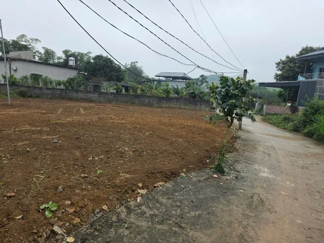 Bất động sản tại Phú Thọ - ảnh 1