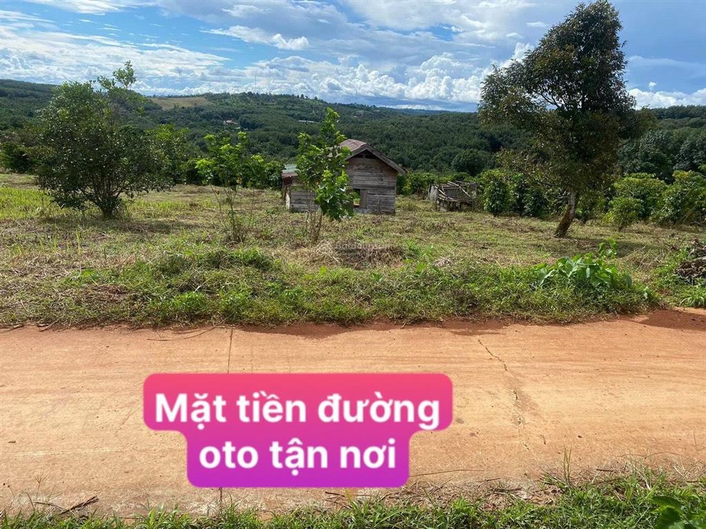Bất động sản tại Đắk Nông - ảnh 1
