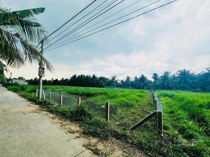 Bất động sản tại Tiền Giang - ảnh 1