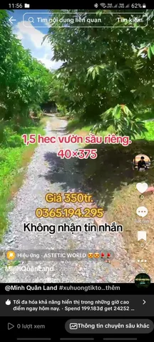 Bất động sản tại Đồng Nai - ảnh 1