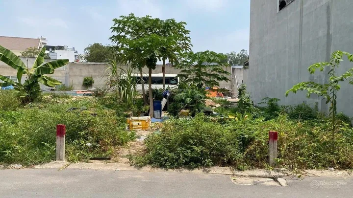 Bất động sản tại TP. Hồ Chí Minh - ảnh 1