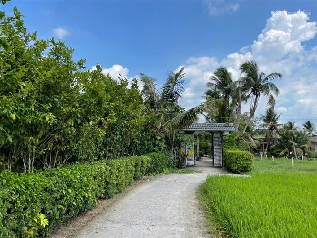 Bất động sản tại Long An - ảnh 1