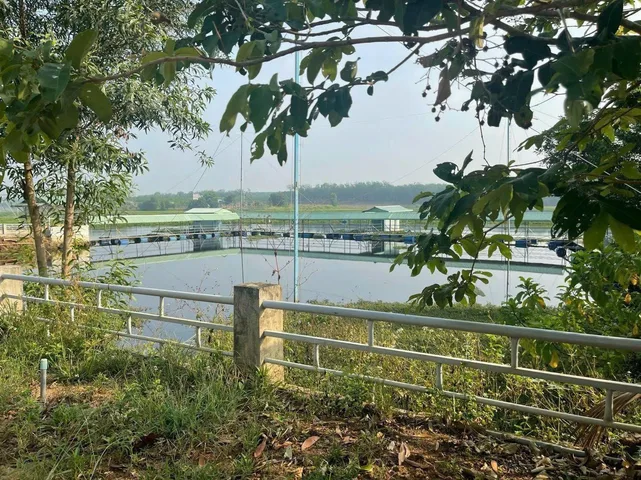 Bất động sản tại Đồng Nai - ảnh 1