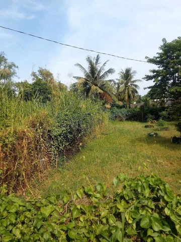 Bất động sản tại Tây Ninh - ảnh 1