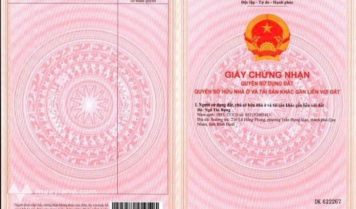 Bất động sản tại Bình Định - ảnh 1