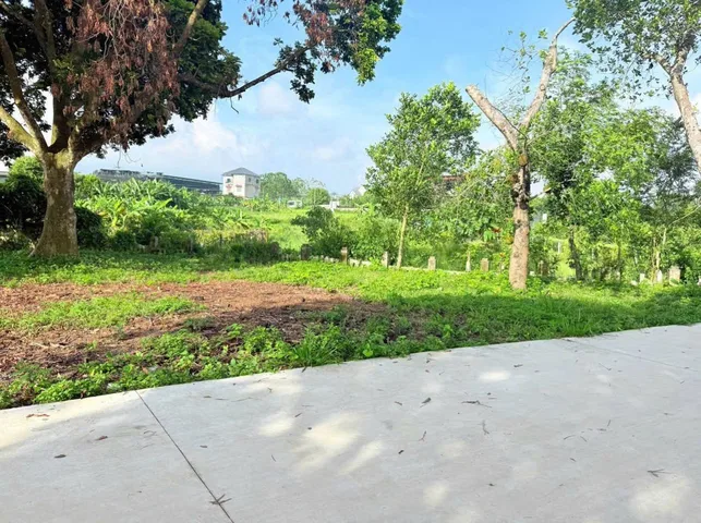 Bất động sản tại Phú Thọ - ảnh 1