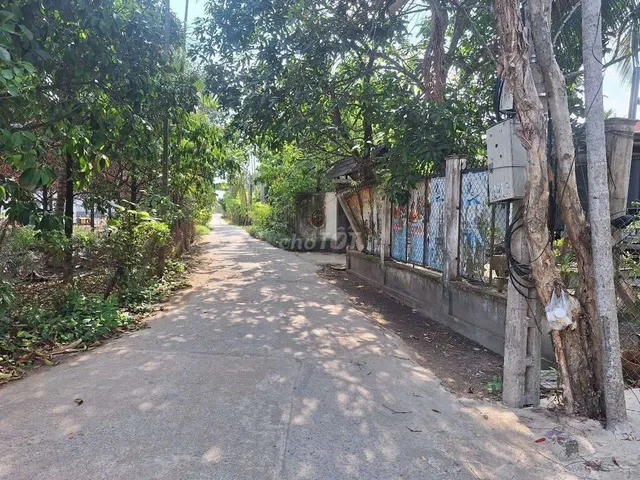 Bất động sản tại Bình Dương - ảnh 1