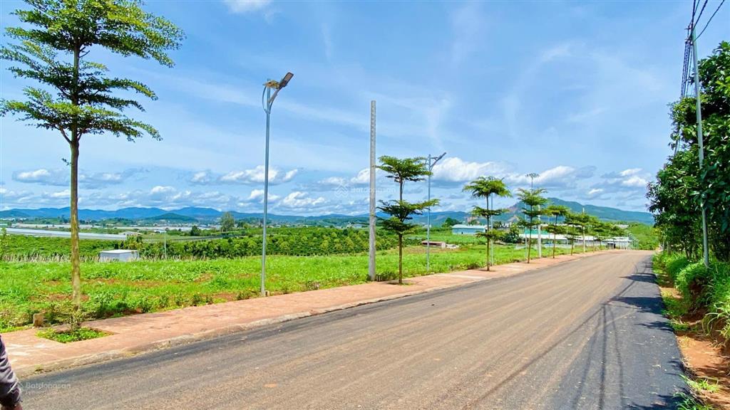 Bất động sản tại Lâm Đồng - ảnh 1