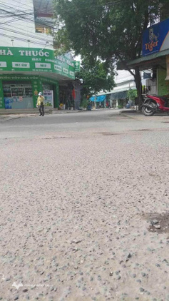 Bất động sản tại Bình Dương - ảnh 1