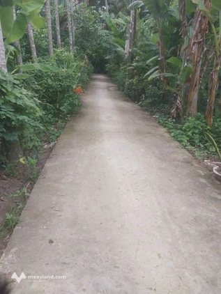 Bất động sản tại Bến Tre - ảnh 1