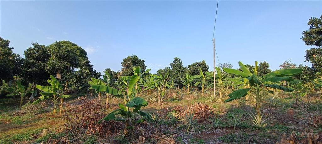 Bất động sản tại Bà Rịa - Vũng Tàu - ảnh 1