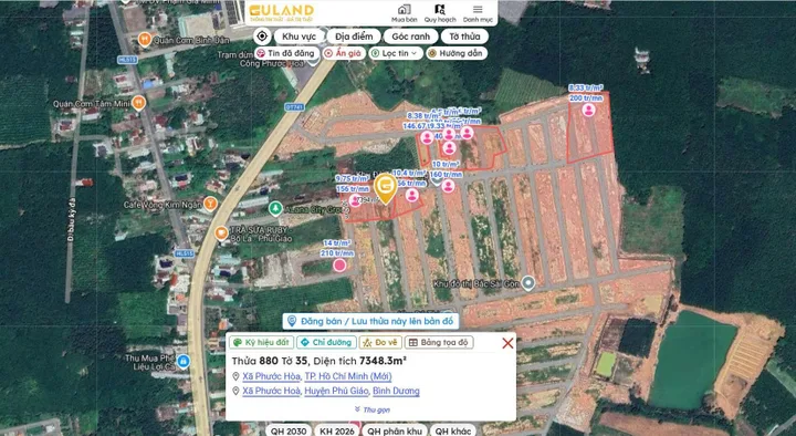 Bất động sản tại Bình Dương - ảnh 1