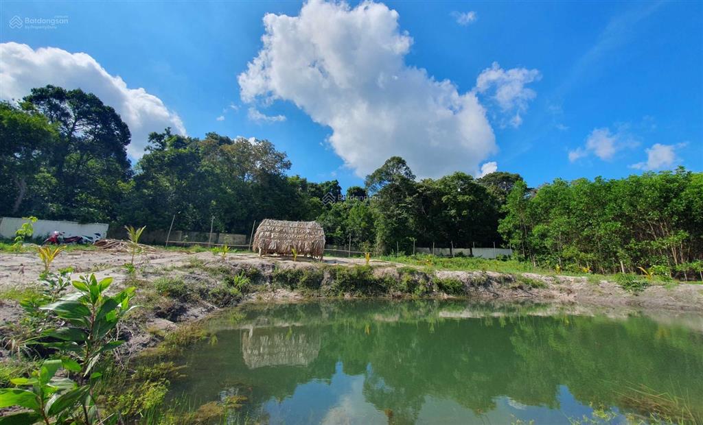 Bất động sản tại Bà Rịa - Vũng Tàu - ảnh 1