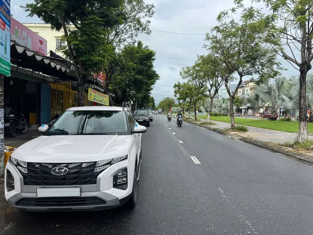 Bất động sản tại Đà Nẵng - ảnh 1