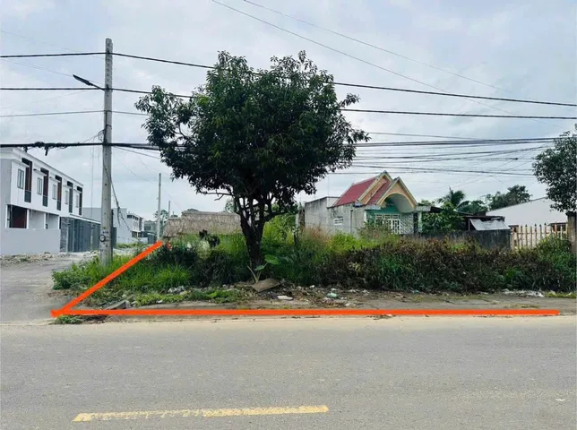 Bất động sản tại Đồng Nai - ảnh 1