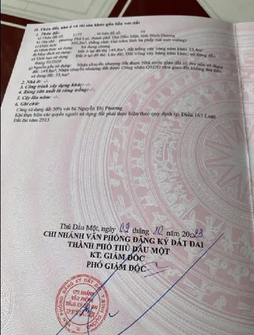 Bất động sản tại Bình Dương - ảnh 1