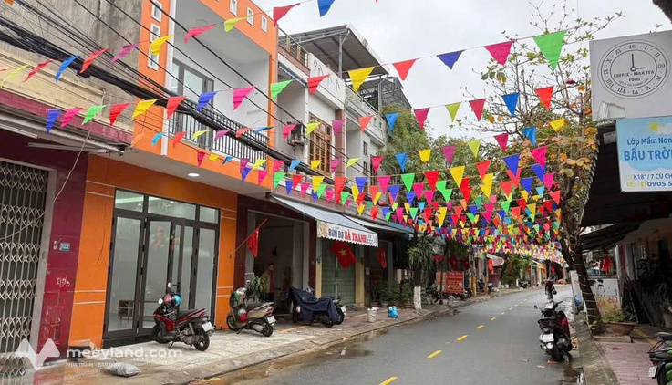 Bất động sản tại Đà Nẵng - ảnh 1