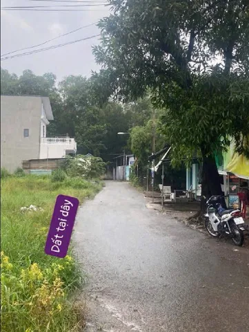 Bất động sản tại Bình Dương - ảnh 1