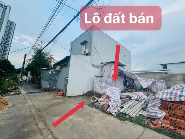 Bất động sản tại Bình Dương - ảnh 1