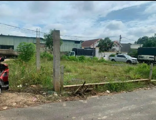 Bất động sản tại Bình Dương - ảnh 1