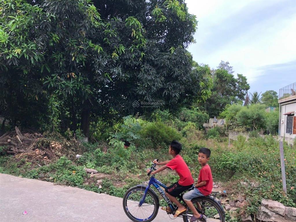 Bất động sản tại Nghệ An - ảnh 1