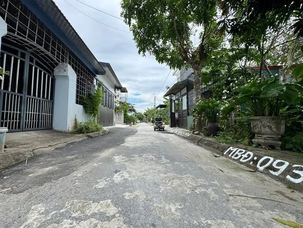 Bất động sản tại Hải Phòng - ảnh 1