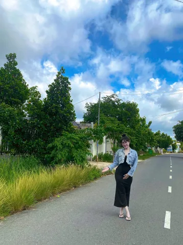 Bất động sản tại Bình Dương - ảnh 1